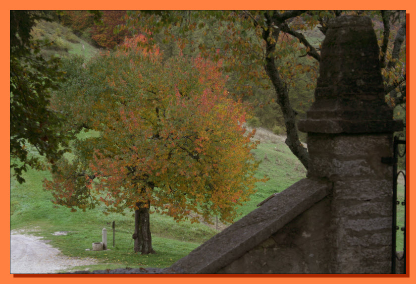 Ricordi di Monte Baldo